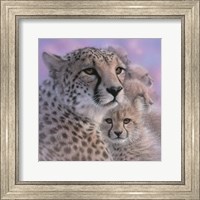 Framed Cheetah Mother and Cubs - Mother's Love - Square
