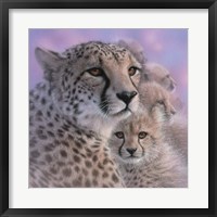 Framed Cheetah Mother and Cubs - Mother's Love - Square