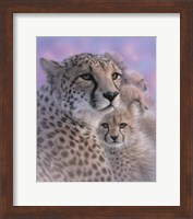 Framed Cheetah Mother and Cubs - Mother's Love