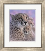 Framed Cheetah Mother and Cubs - Mother's Love