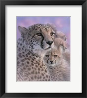 Framed Cheetah Mother and Cubs - Mother's Love