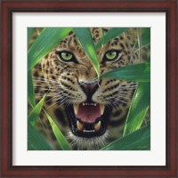 Framed Jaguar - Ambush