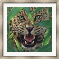 Framed Jaguar - Ambush