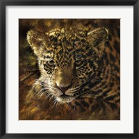Framed Jaguar Cub on Bark