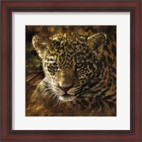 Framed Jaguar Cub on Bark