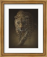 Framed Leopard - Savage