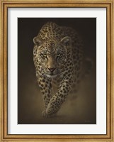 Framed Leopard - Savage
