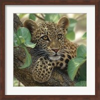 Framed Leopard Cub - Tree Hugger