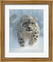 Framed Snow Leopard - Snow Ghost - Vertical