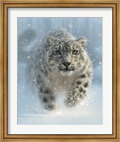 Framed Snow Leopard - Snow Ghost - Vertical