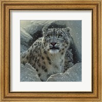 Framed Snow Leopard - The Fortress