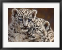 Framed Snow Leopard Cubs - Playmates - Horizontal