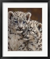 Framed Snow Leopard Cubs - Playmates