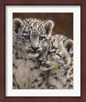 Framed Snow Leopard Cubs - Playmates
