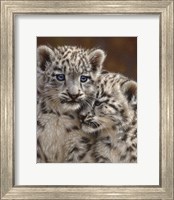 Framed Snow Leopard Cubs - Playmates