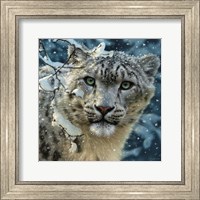 Framed Snow Leopard