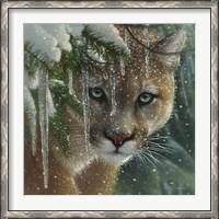 Framed Cougar - Frozen