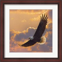 Framed Soaring Spirit