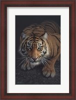 Framed Crouching Tiger - Vertical
