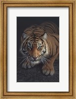 Framed Crouching Tiger - Vertical