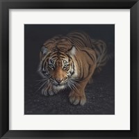 Framed Crouching Tiger