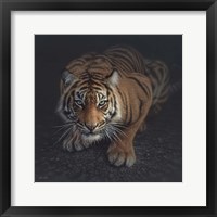 Framed Crouching Tiger