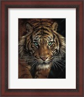 Framed Eye of the Tiger
