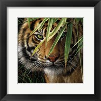 Framed Tiger - Emerald Forest