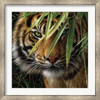 Framed Tiger - Emerald Forest