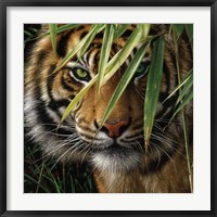 Framed Tiger - Emerald Forest