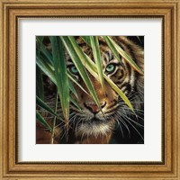Framed Tiger Eyes