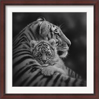 Framed Tiger Mother and Cub - Cherished - B&W