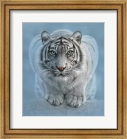 Framed White Tiger - Wild Intentions