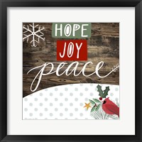 Framed Hope Joy Peace