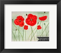 Framed Poppies