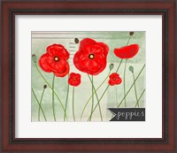 Framed Poppies