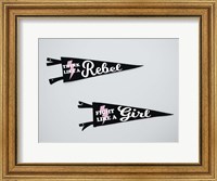 Framed Pennants