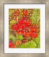 Framed Holly and Berries
