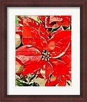 Framed Poinsettia Red