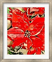 Framed Poinsettia Red