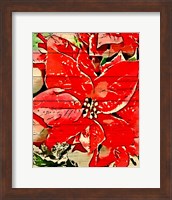 Framed Poinsettia Red