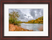 Framed Snake River Autumn I