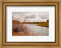 Framed Snake River Autumn II