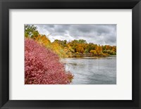 Framed Snake River Autumn IV