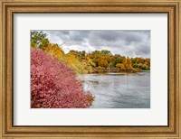 Framed Snake River Autumn IV
