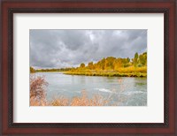 Framed Snake River Autumn VI