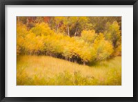 Framed Fall Thicket