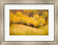 Framed Fall Thicket