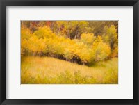 Framed Fall Thicket