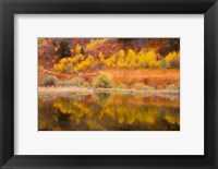 Framed Autumn's Reflection